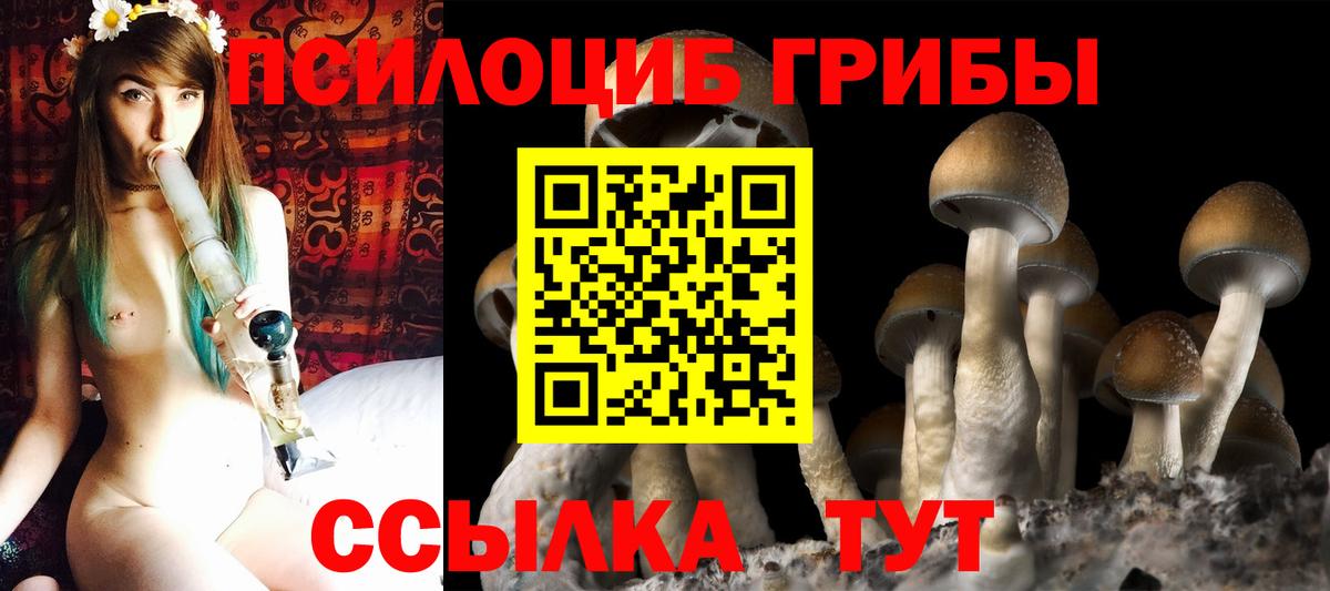 Псилоцибиновые грибы мухоморы  Вход с VPN  Кстово 