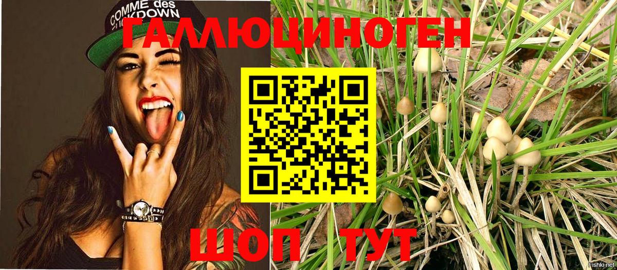 Псилоцибиновые грибы мухоморы Кстово